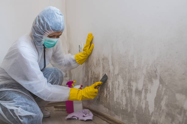 Best Crawl Space Mold Removal  in Avenue B And C, AZ