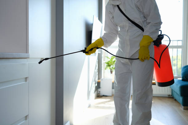 Best Professional Mold Removal  in Avenue B And C, AZ